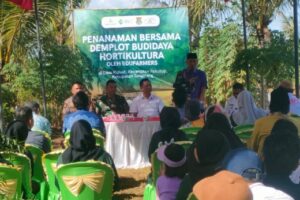 Tanam Cabe Demplot Hortikultura,Plh Danramil 10/Spt Dorong Ekonomi Warga