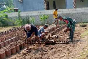 Babinsa Panongan Turun Tangan, Warga Semangat Wujudkan Apotik Hidup