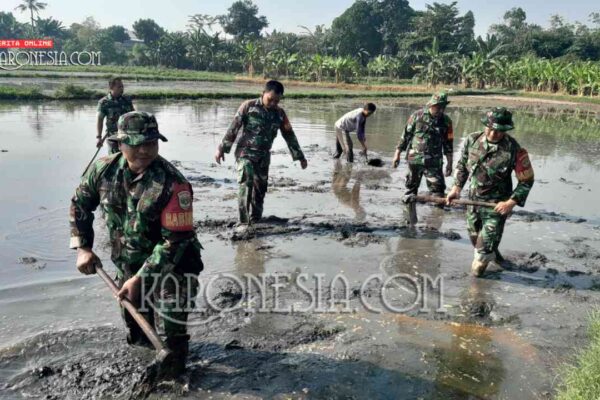 Danramil Bantargebang Turun Sawah Perkuat Ketahanan Pangan