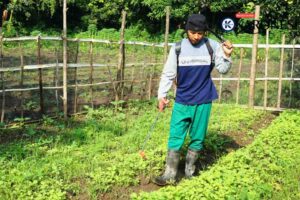 Kisah Inspiratif Letda Isdayun, Mengubah Tanah Kering Jadi Harapan