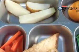 Menu Makan Gratis SD di Depok Viral, Pemkot Lakukan Penelusuran