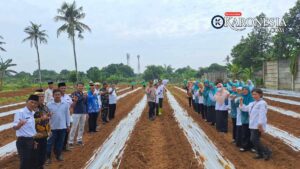 Danramil Legok dan Muspika Tanam Jagung Bareng Warga, Dukung Ketahanan Pangan