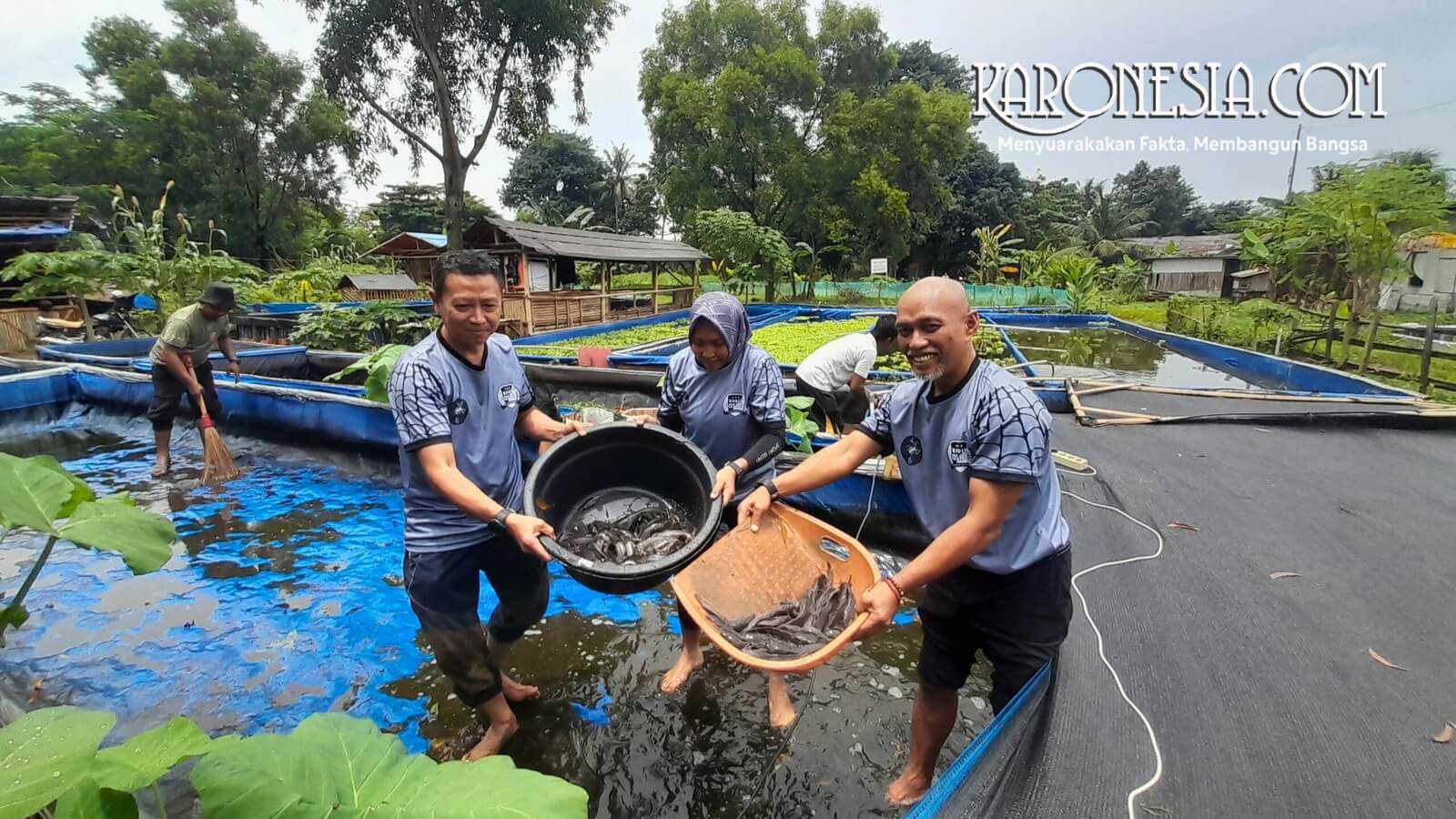 Hasil panen ikan lele siap dibagikan kepada anggota komunitas di Tangerang Selatan