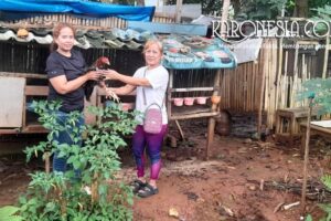 Ketua KWT Urban Farming Tangsel membagikan ayam kampung hasil ternak kepada anggota menjelang Ramadhan