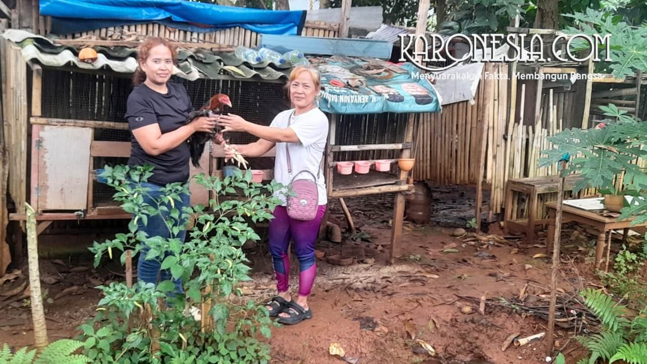 Ketua KWT Urban Farming Tangsel membagikan ayam kampung hasil ternak kepada anggota menjelang Ramadhan