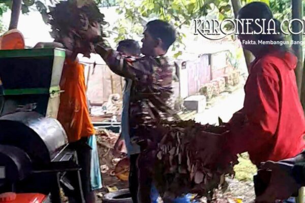 Proses memasukkan sampah daun ke mesin pencacah kompos di Tangerang Selatan