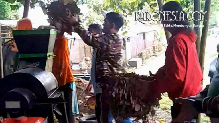 Proses memasukkan sampah daun ke mesin pencacah kompos di Tangerang Selatan