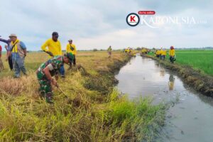 Babinsa Mauk Ikut PKTD, Saluran Irigasi Tegal Kunir Lor Dibersihkan