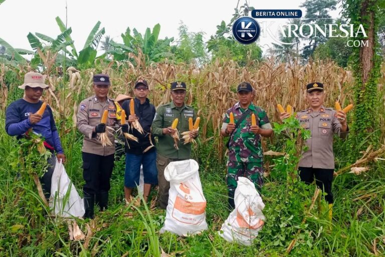 Panen jagung 2,8 ton di Desa Sukamanah, Tangerang, dihadiri Babinsa, Bhabinkamtibmas, dan perangkat desa.