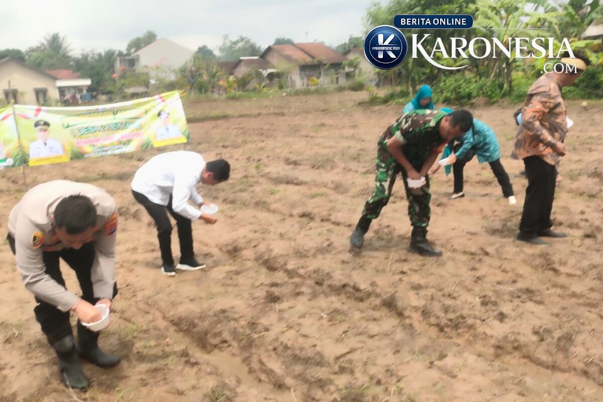 Kegiatan penanaman bibit pertanian