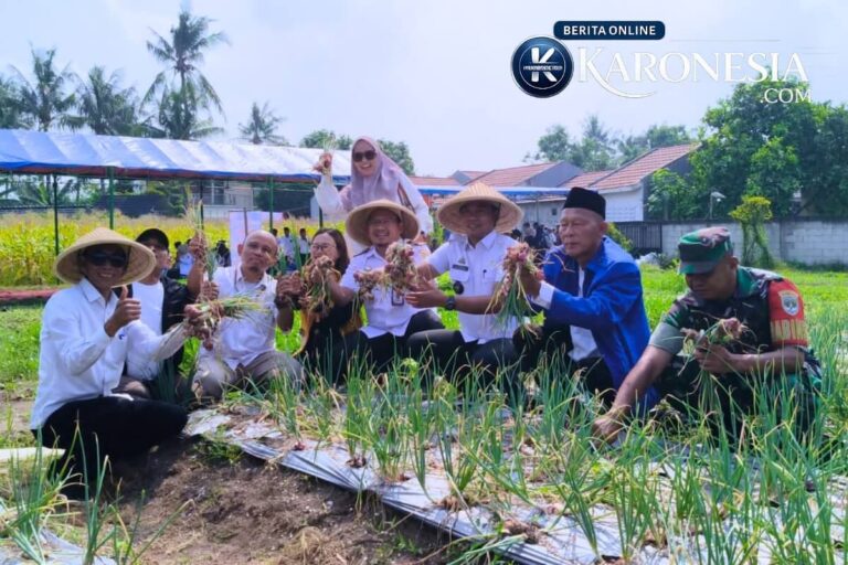 Panen bawang merah di Desa Pondok Kelor, Sepatan Timur, Tangerang