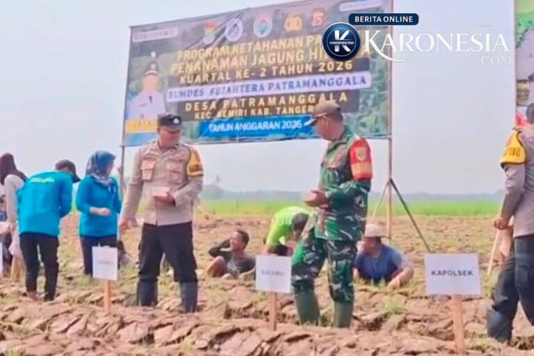 Babinsa dan BUMDes tanam jagung hibrida