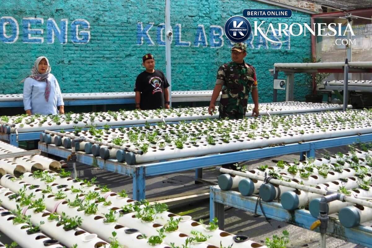 Penilaian Kampung Pancasila Jatinegara, warga dan TNI tinjau kebun hidroponik