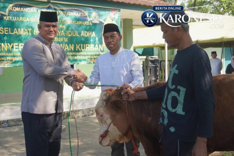Serah terima sapi kurban Kodim 0510 Tigaraksa Idul Adha 2026