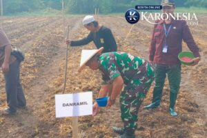 Dari Barak ke Ladang, Danramil Pasar Kemis Perkuat Pangan