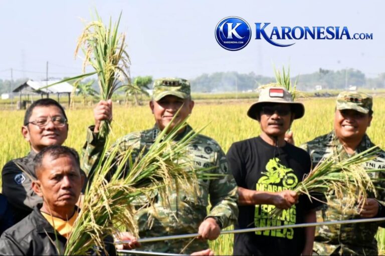 Danrem 081/DSJ menunjukkan hasil panen padi varietas baru di Ngawi