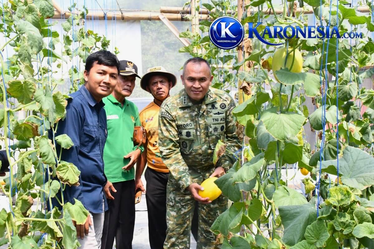 Danrem Untoro tinjau melon green house Ngawi