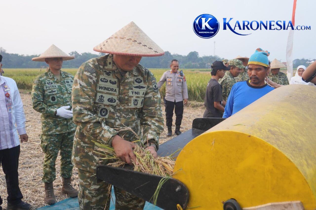 Kasdim 0510 Tigaraksa melakukan proses panen raya bersama petani di Kresek Tangerang