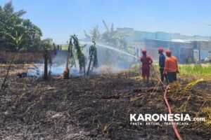 Petugas memadamkan karhutla di Pinrang