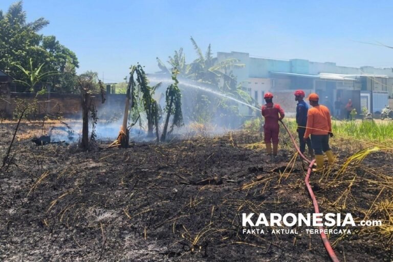 Petugas memadamkan karhutla di Pinrang