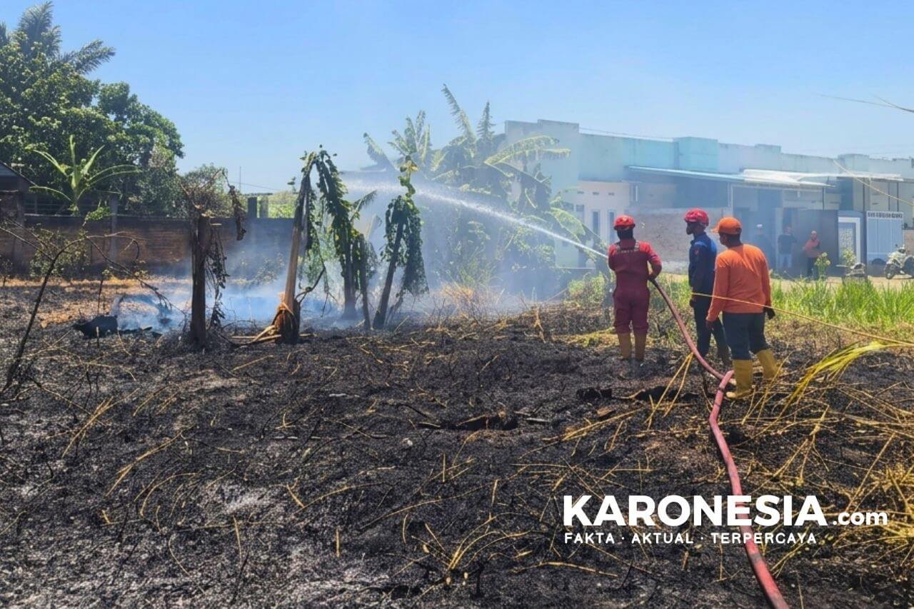 Petugas memadamkan karhutla di Pinrang